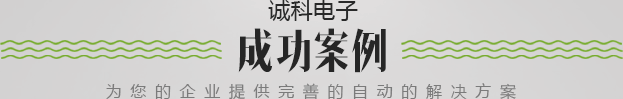 成功案例