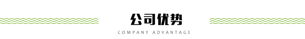 公司優(yōu)勢